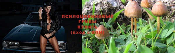 ALPHA PVP Гвардейск