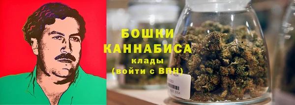 ALPHA PVP Гвардейск