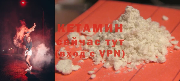 сатива Галич