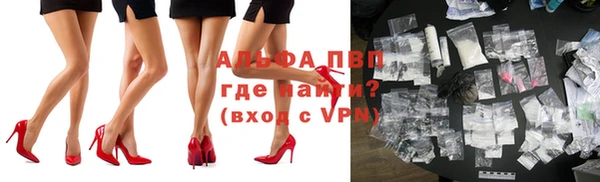 сатива Галич