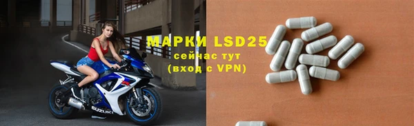ALPHA PVP Гвардейск