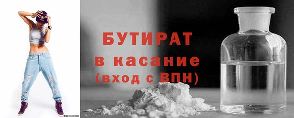 сатива Галич