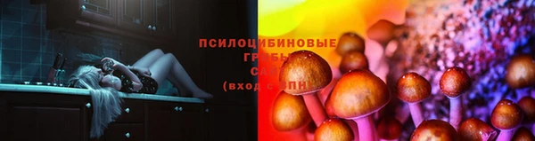 сатива Галич