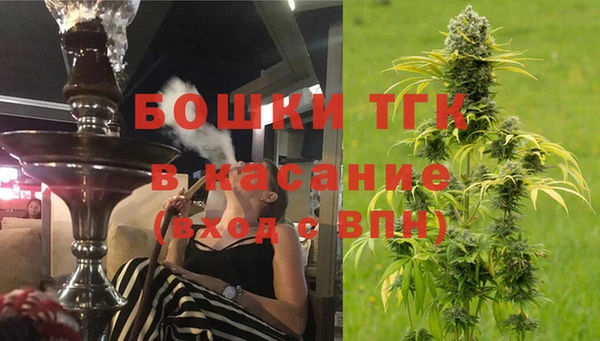 сатива Галич