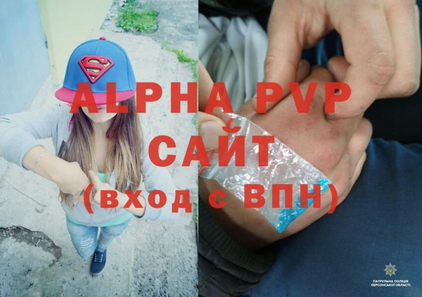 сатива Галич