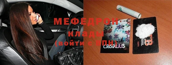 сатива Галич