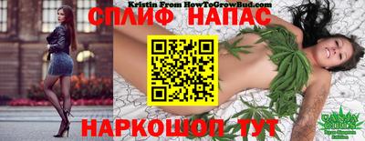 меф Заводоуковск