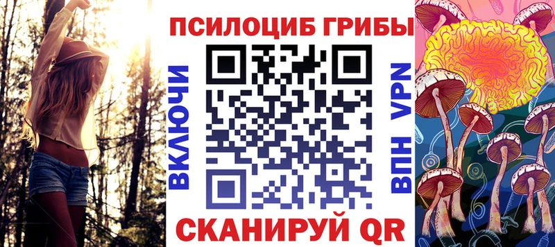 как найти закладки  Конаково  Галлюциногенные грибы Magic Shrooms 