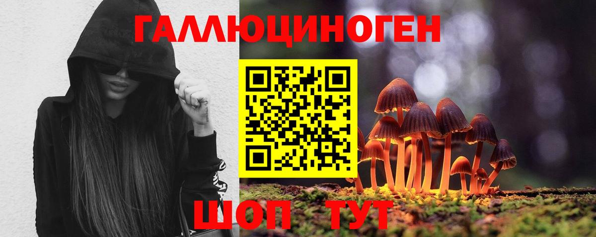 Конаково  Псилоцибиновые грибы MAGIC MUSHROOMS  Вход с VPN 